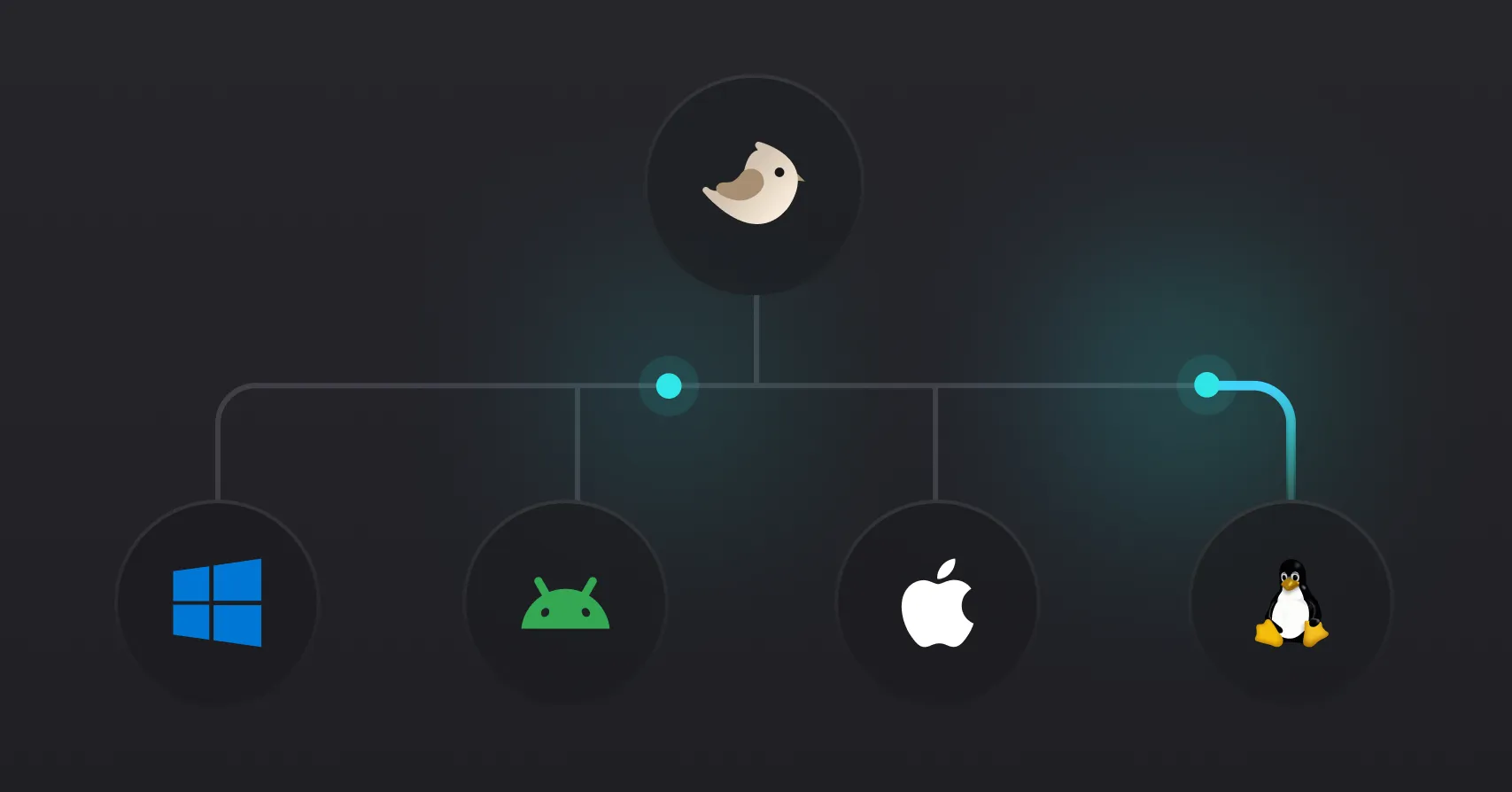 Works everywhere Flutter does
